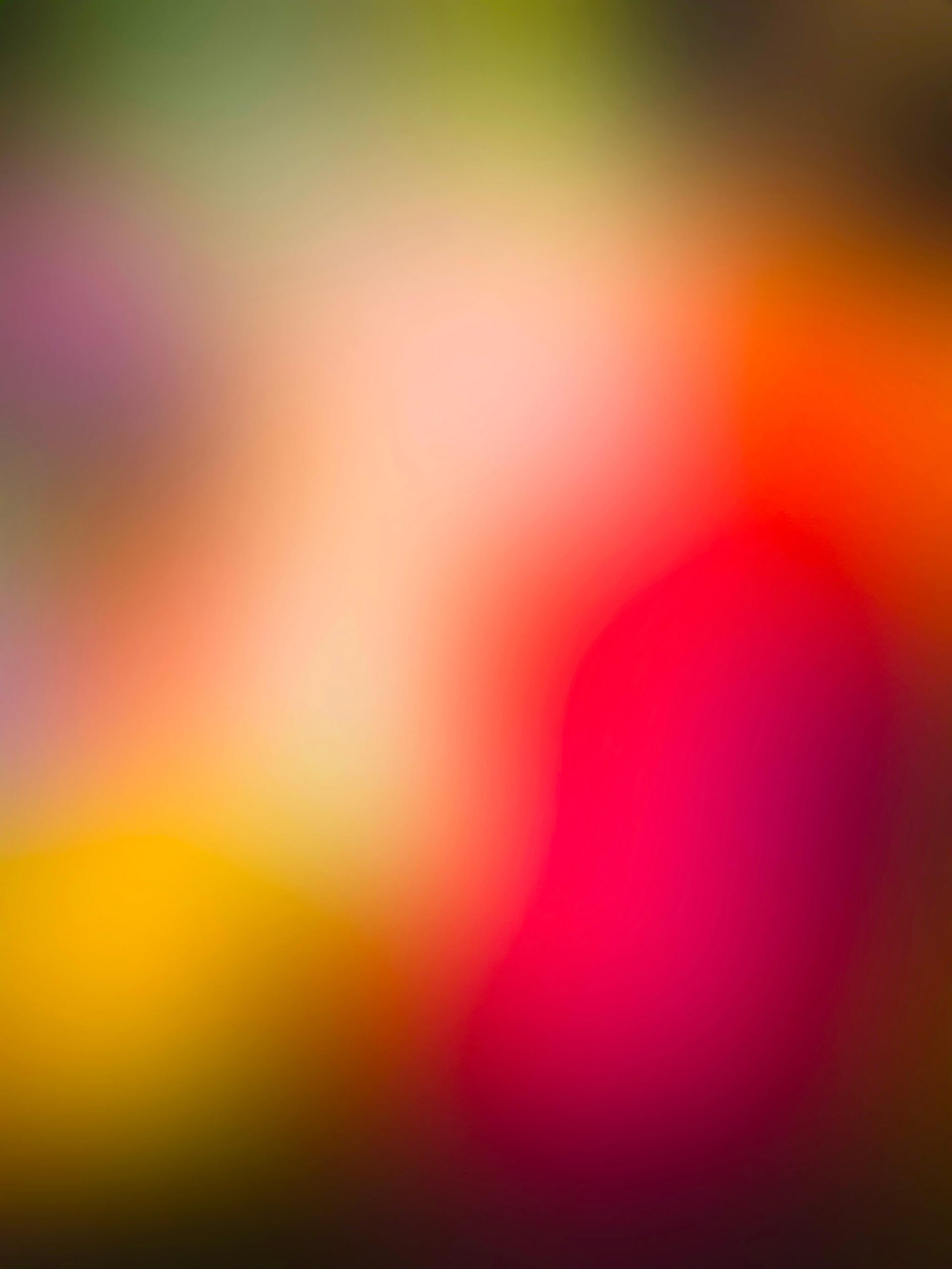 NFT_FA_TheCalling_Wisdom